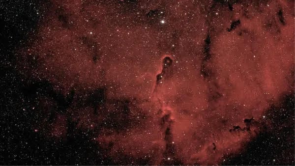 Elephant Trunk (IC1396A)