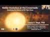 Stellar Evolution at the Crossroads: Resolving the Nature of RV Tauri Stars